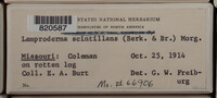 Image Associated With the Occurence